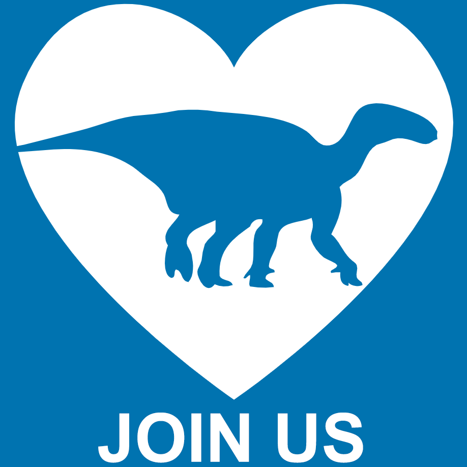 Join Dinosaur Ridge